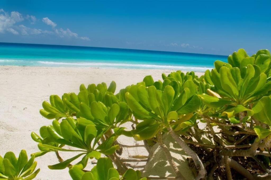 Ocean View Apartment, Best Beach Area, 3 Bedrooms Cancún Exterior foto